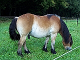 Bild 017